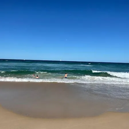 Pa2 Stunning Sunshine Beach Apt Pets Welcome Exterior photo