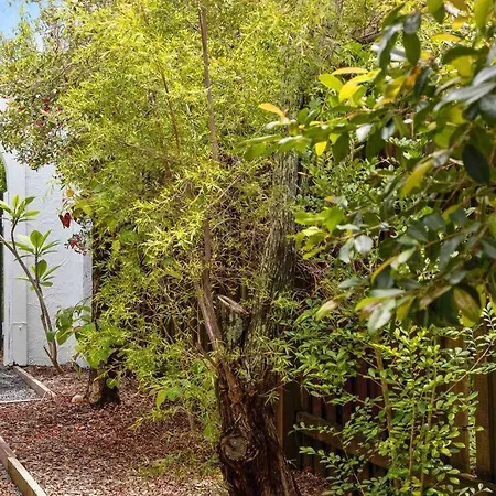 Pa2 Stunning Sunshine Beach Apt Pets Welcome Exterior photo