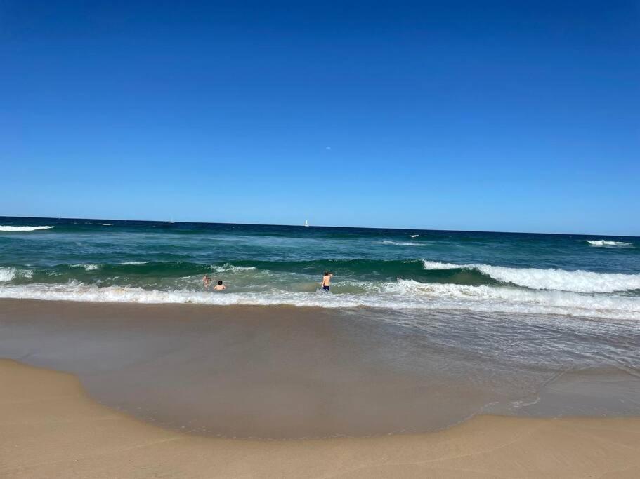 Pa2 Stunning Sunshine Pets Welcome Sunshine Beach